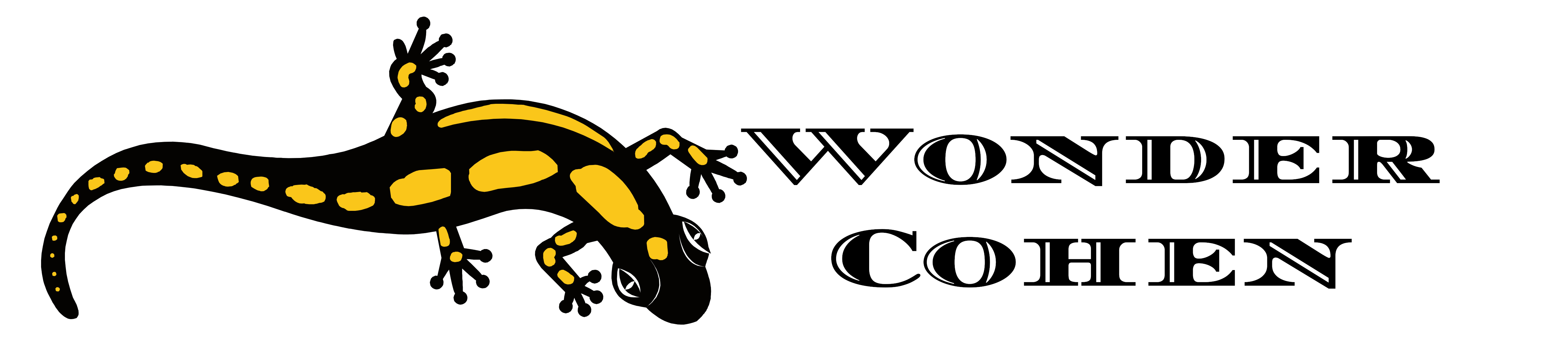 Wonder Cohen